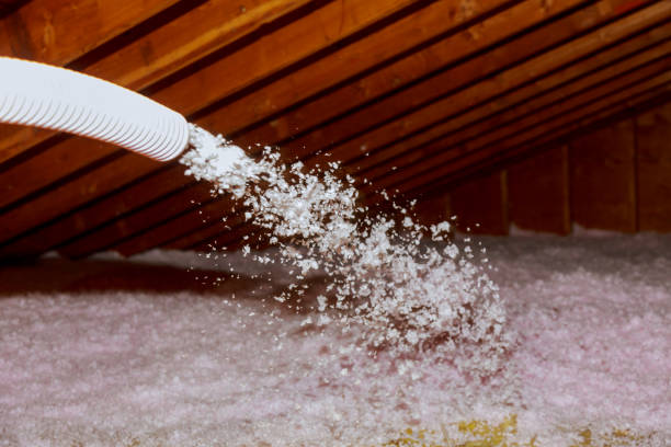 Best Fiberglass Insulation in Ludlow, KY