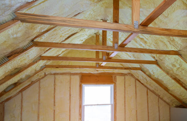 Best Geographic-Specific Insulation Services in Ludlow, KY