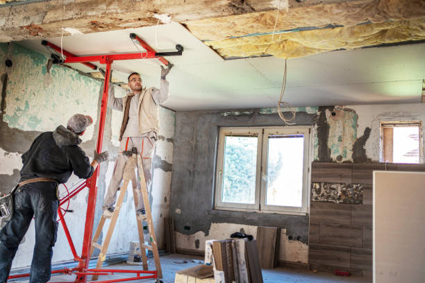 Best Cellulose Insulation in Ludlow, KY