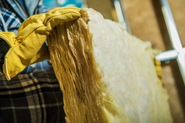 Best DIY Insulation Kits and Guidance in Ludlow, KY