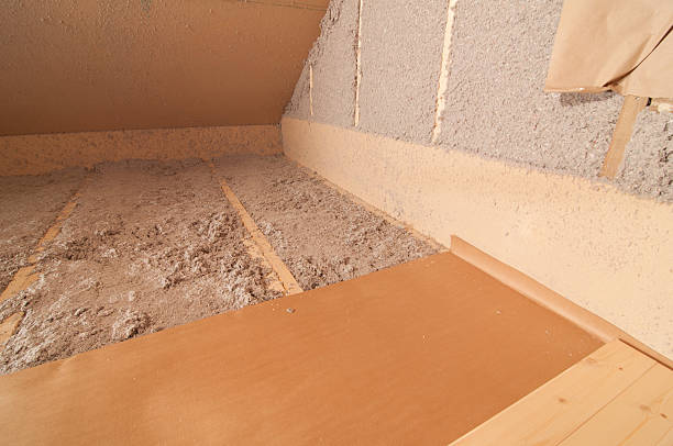 Best Eco-Friendly Insulation in Ludlow, KY
